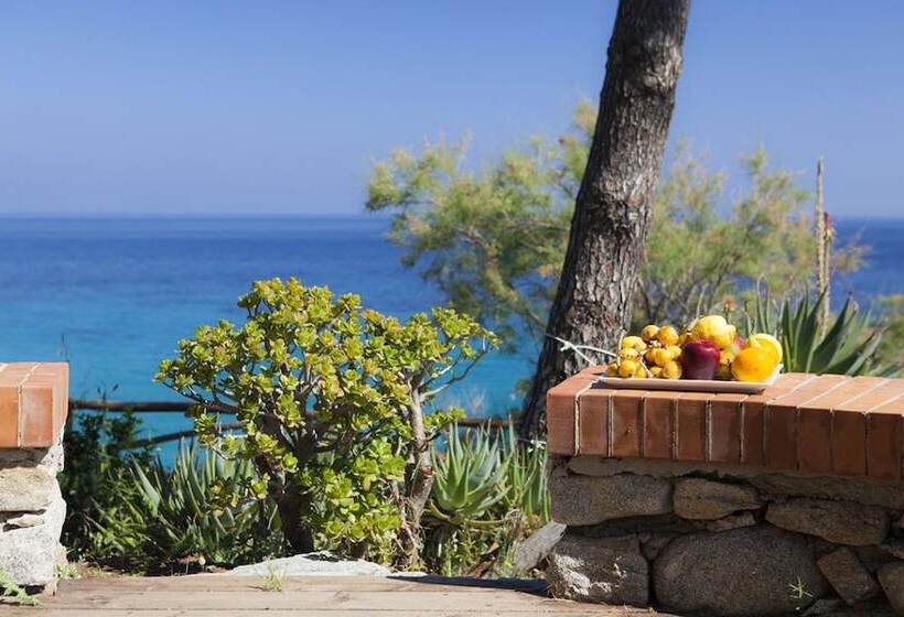 호텔 Cernia Isola Botanica