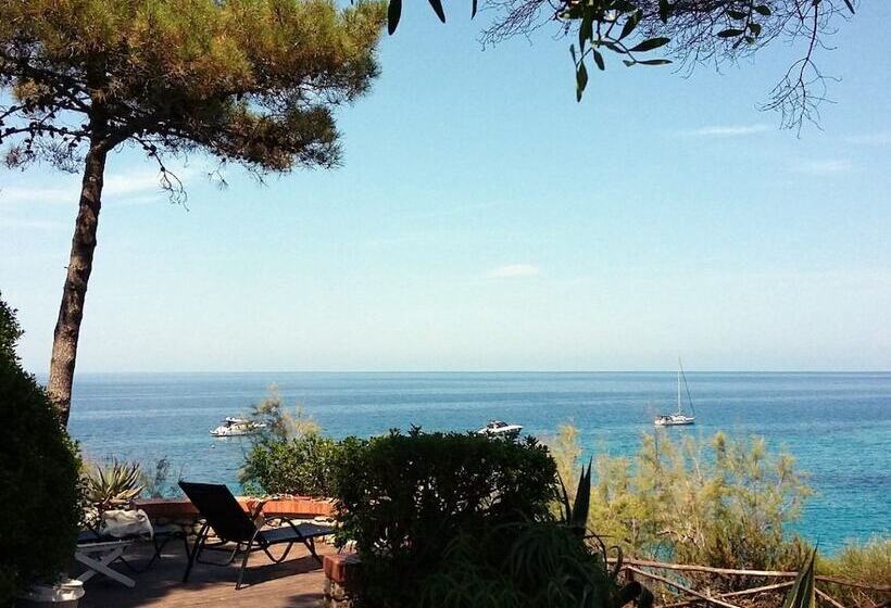 호텔 Cernia Isola Botanica