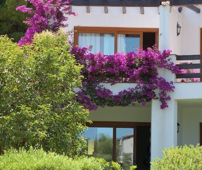 בית מלון כפרי Club Esse Palmasera