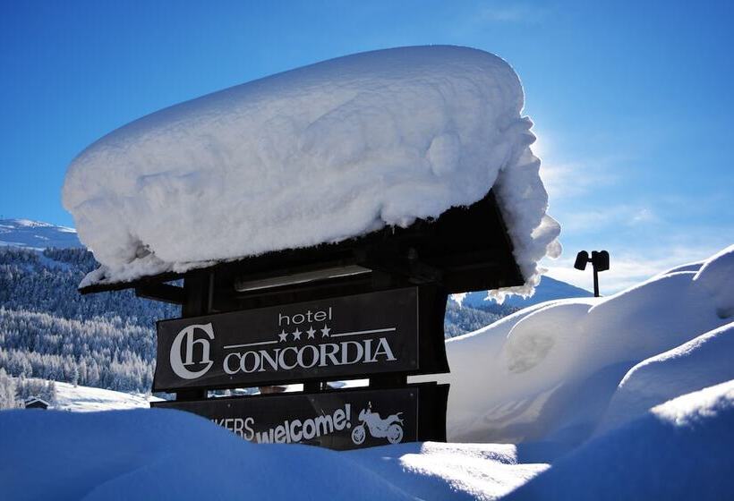 酒店 Concordia
