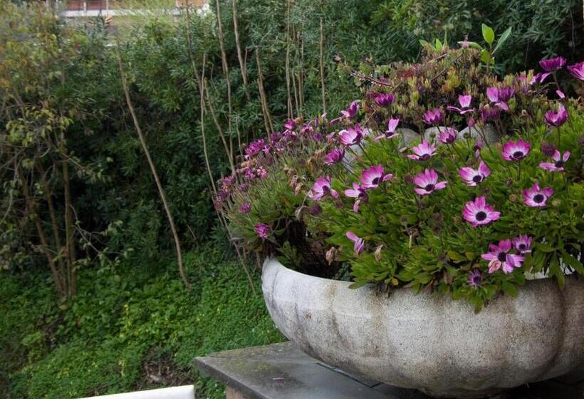 Отель Cristallo