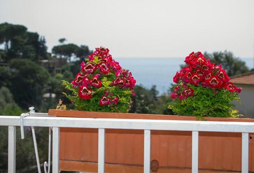 Отель Cristallo