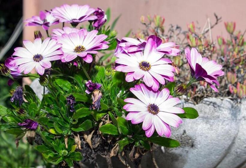 Отель Cristallo