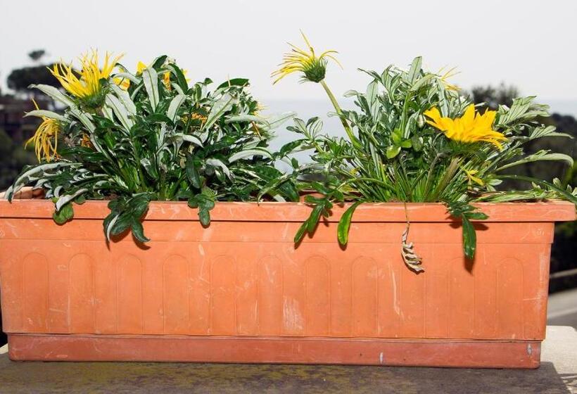 Отель Cristallo