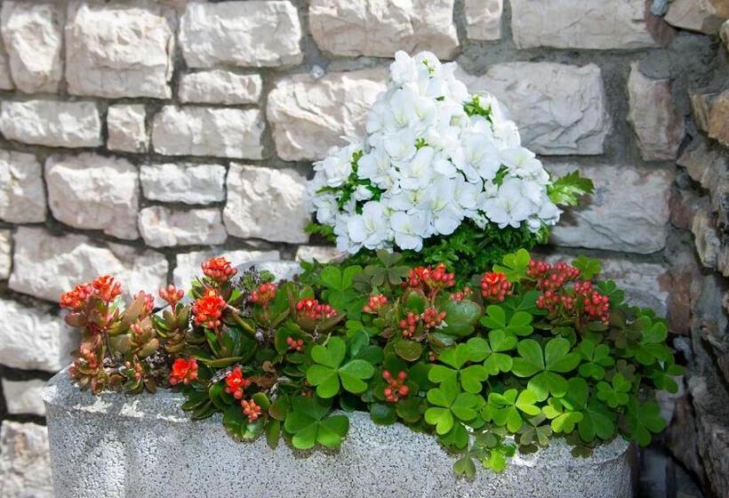 Отель Cristallo