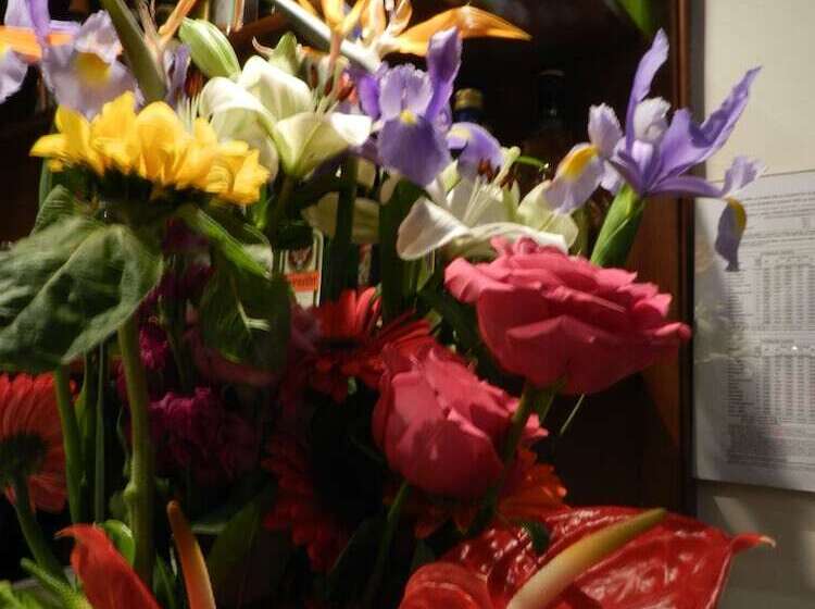 هتل Domus Florentiae