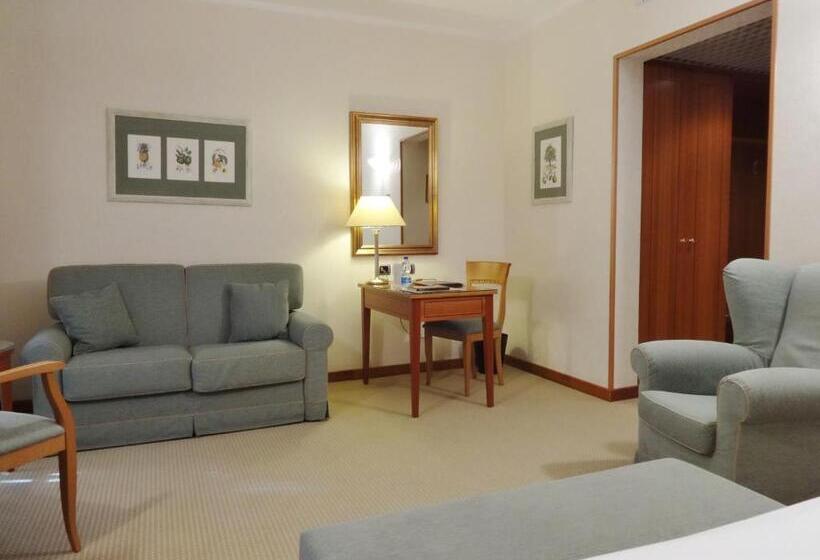 בית מלון כפרי Excelsior Magenta