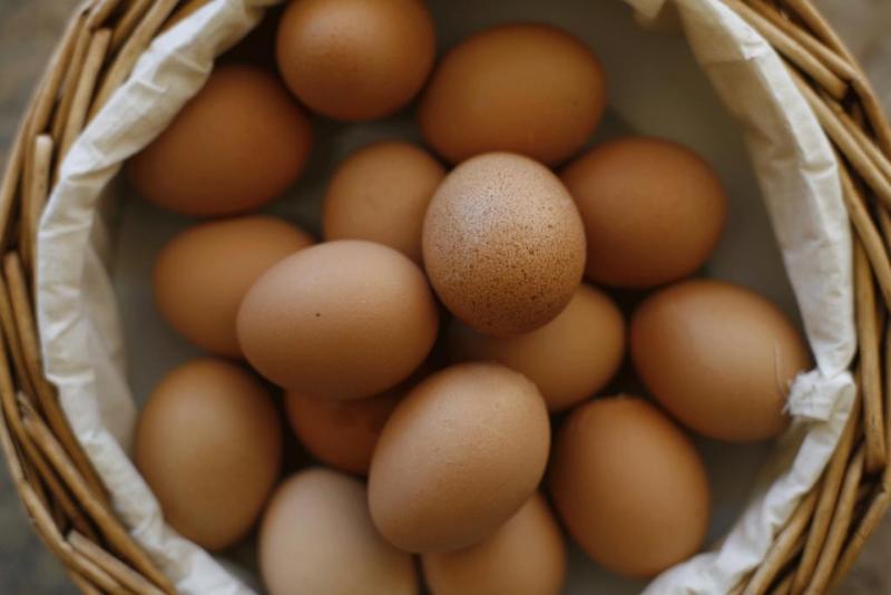 هتل Florida Lerici