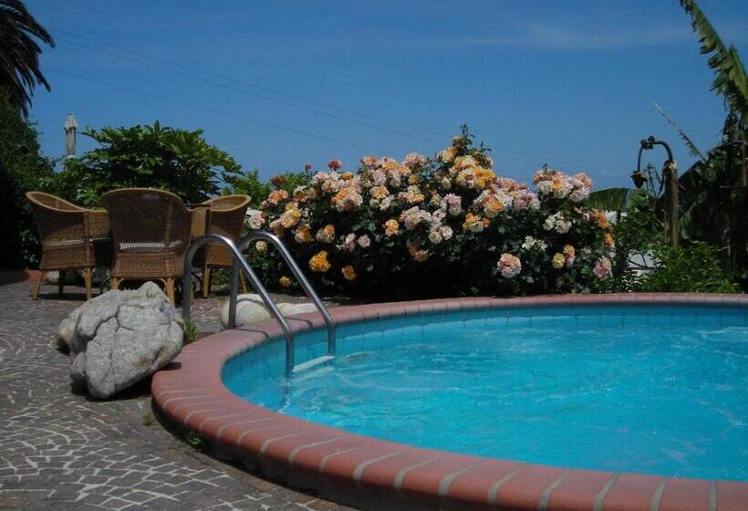 בית מלון כפרי Gallo Nero