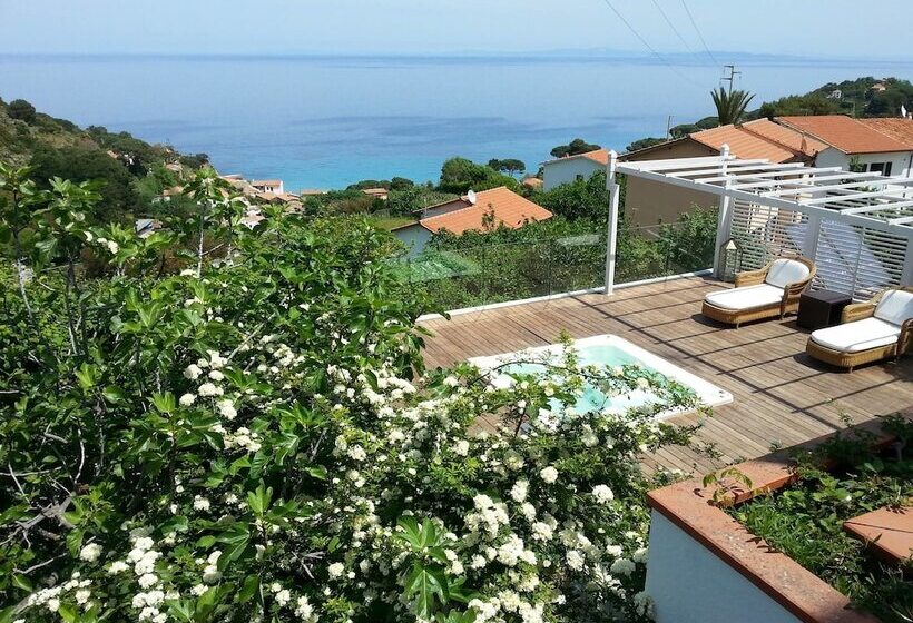 בית מלון כפרי Gallo Nero