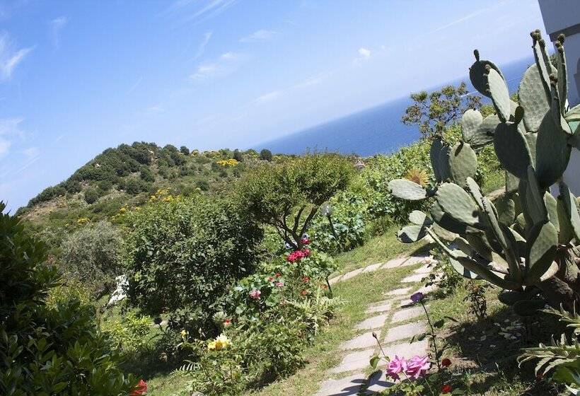 בית מלון כפרי Gallo Nero