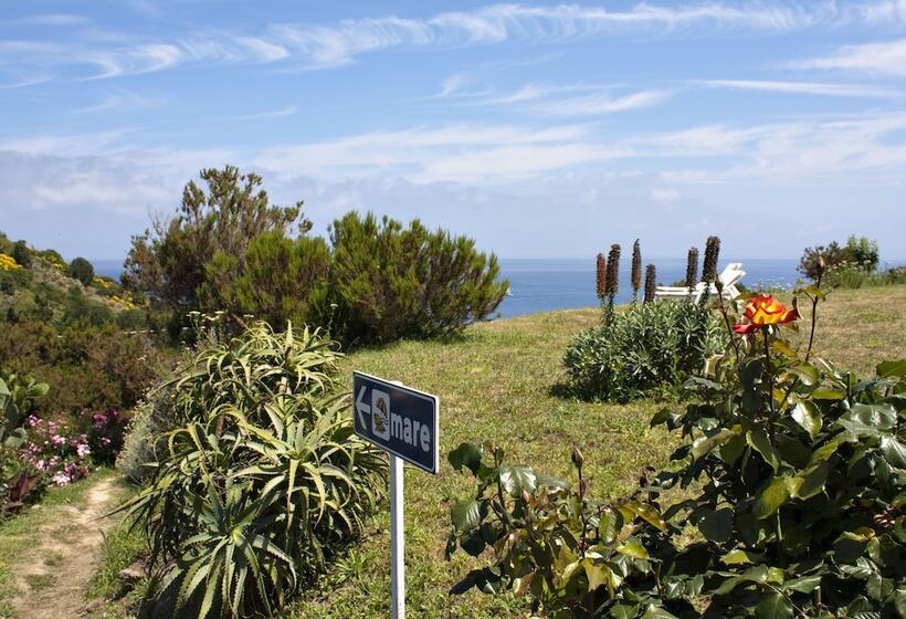 בית מלון כפרי Gallo Nero