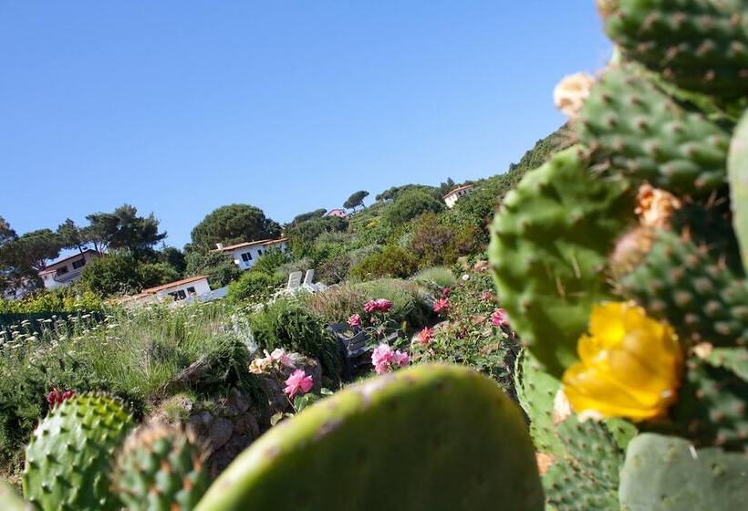 בית מלון כפרי Gallo Nero