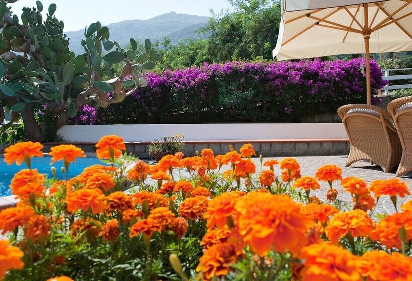 בית מלון כפרי Gallo Nero