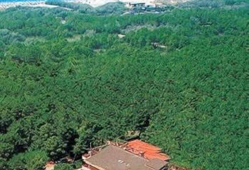 בית מלון כפרי Grifone