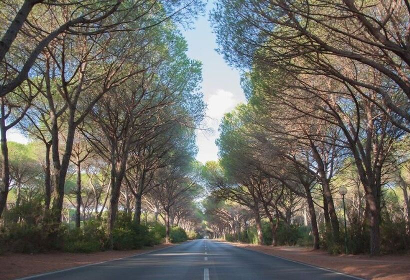 בית מלון כפרי Grifone