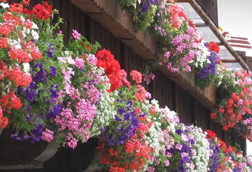 فندق Jolanda Sport