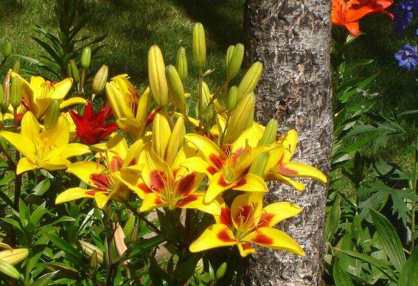 فندق Jolanda Sport