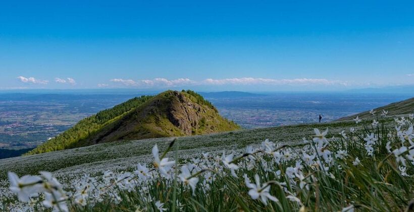 La Villa Sure Hotel Collection By Best Western