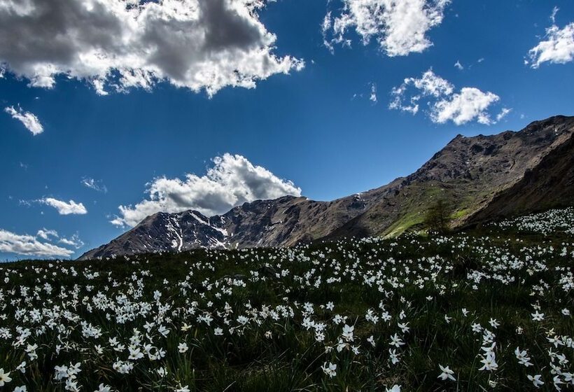 La Villa Sure Hotel Collection By Best Western