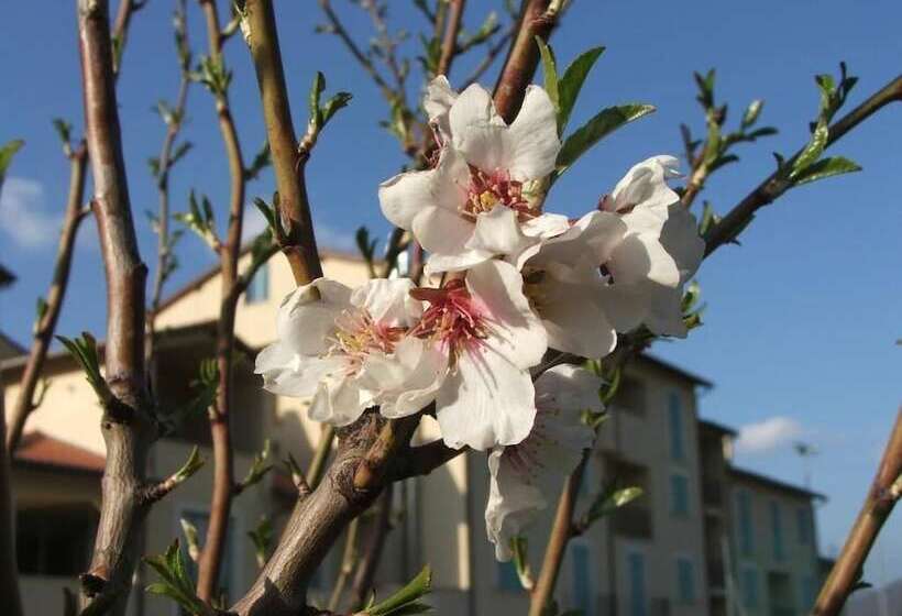 Отель Lieta Sosta