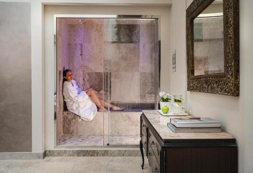 Отель Mayer & Splendid   Wellness E Spa