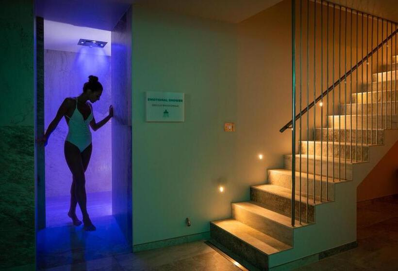 Отель Mayer & Splendid   Wellness E Spa