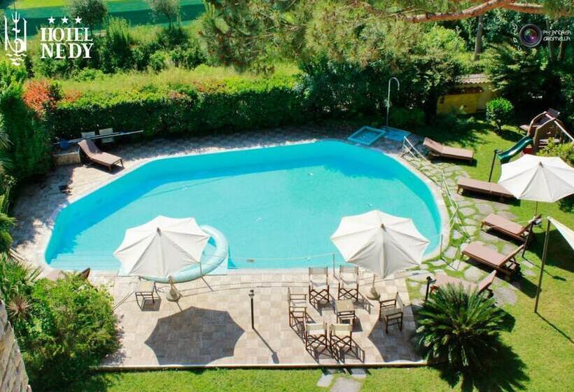 Отель Nedy