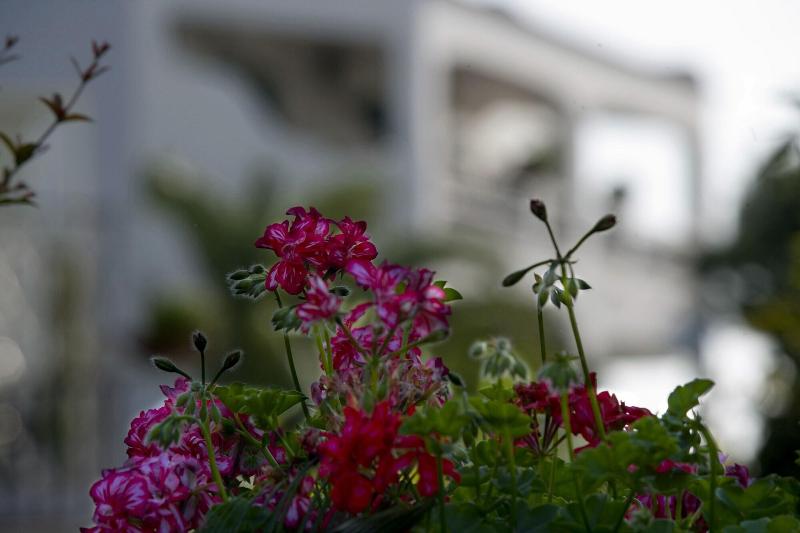 فندق Parco Maria Terme