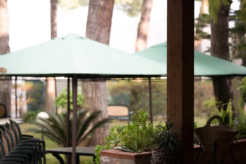 בית מלון כפרי Park