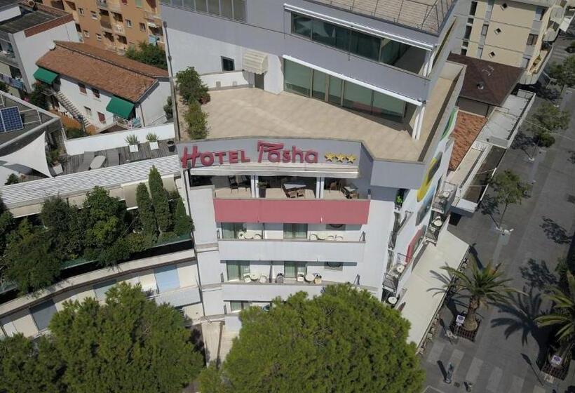 Отель Pasha