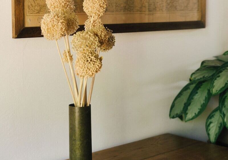 בית מלון כפרי Pensione Bencista