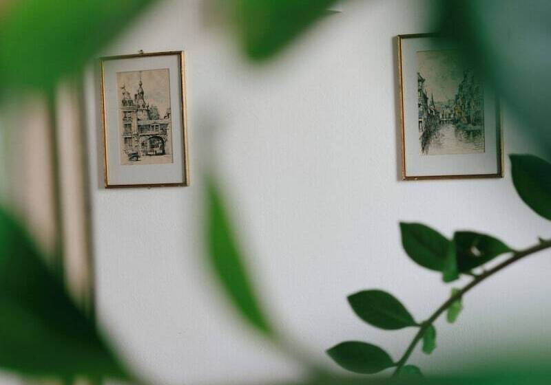 בית מלון כפרי Pensione Bencista