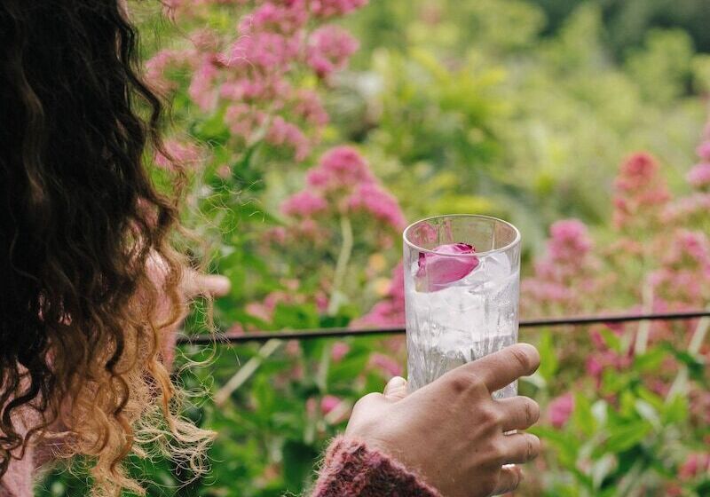 בית מלון כפרי Pensione Bencista