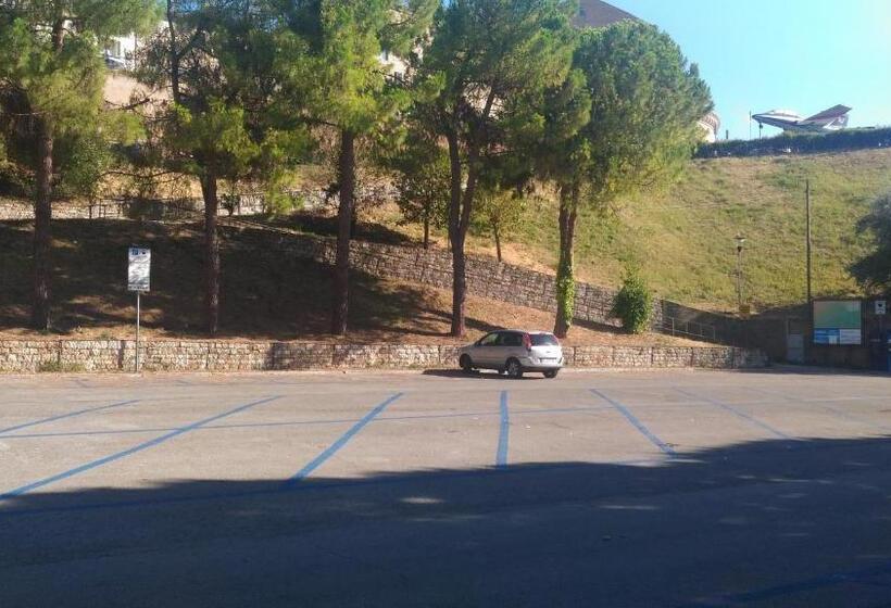 酒店 Pensione Delfino Azzurro