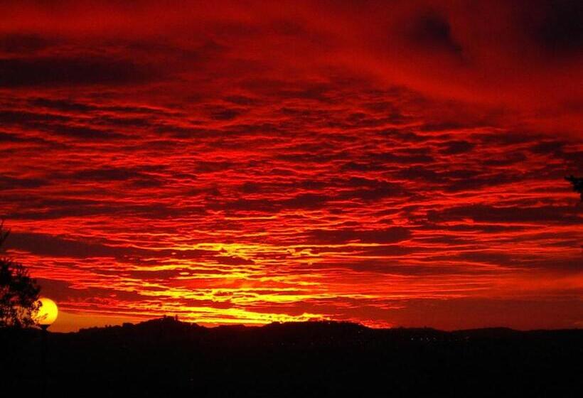 酒店 Pensione Delfino Azzurro