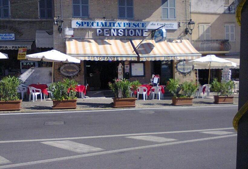 酒店 Pensione Delfino Azzurro