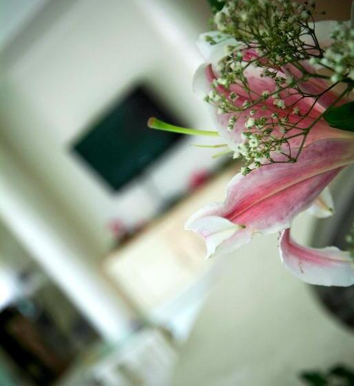 בית מלון כפרי Prater