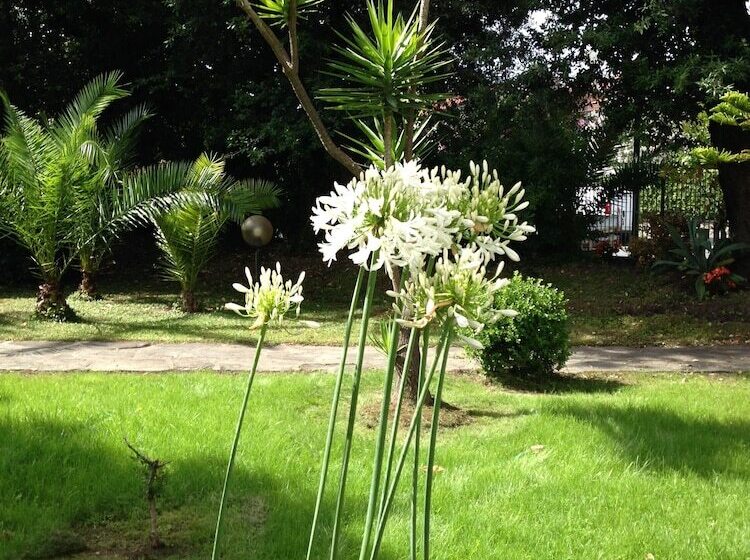 호텔 Raffaelli Park