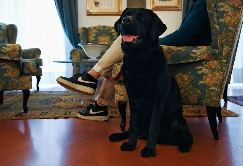 هتل Rivoli Boutique