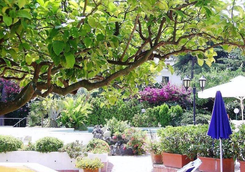 ホテル Royal Terme