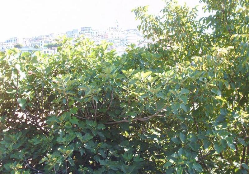 Отель San Marco