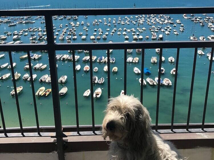 هتل Shelley E Delle Palme, Bw Signature Collection