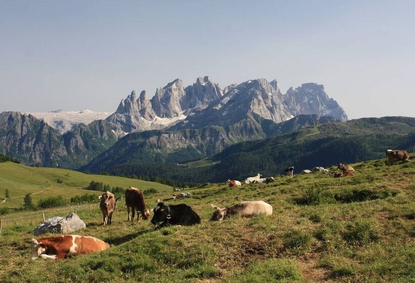 호텔 Stella Alpina