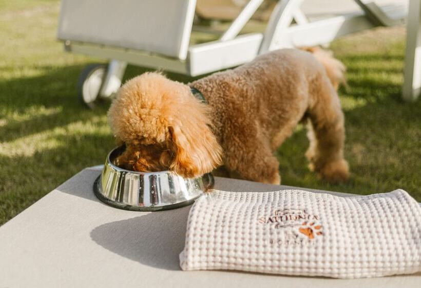 Terme Di Saturnia Natural Spa & Golf Resort   The Leading Hotels Of The World