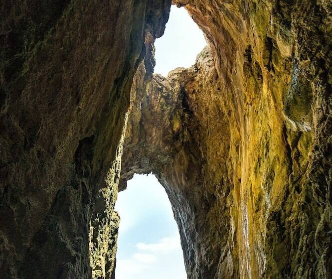 Terminal   Caroli Hotels