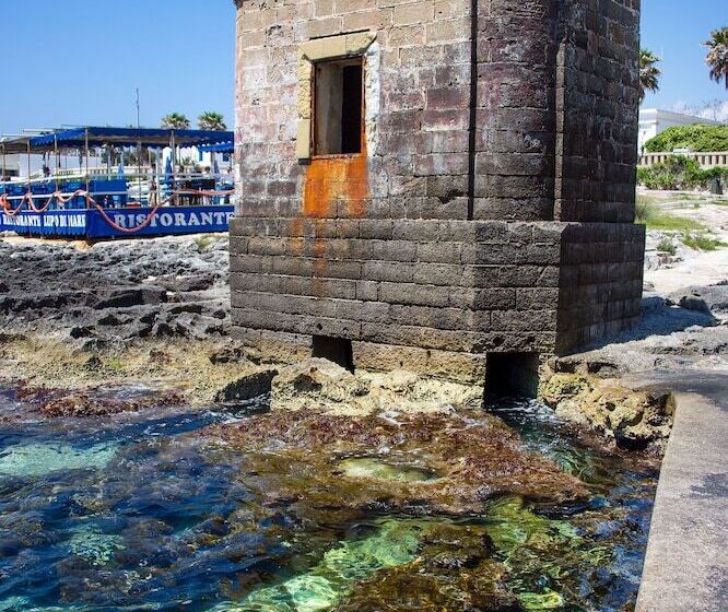 Terminal   Caroli Hotels