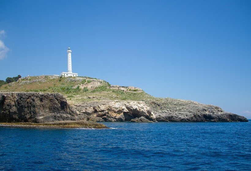 Terminal   Caroli Hotels