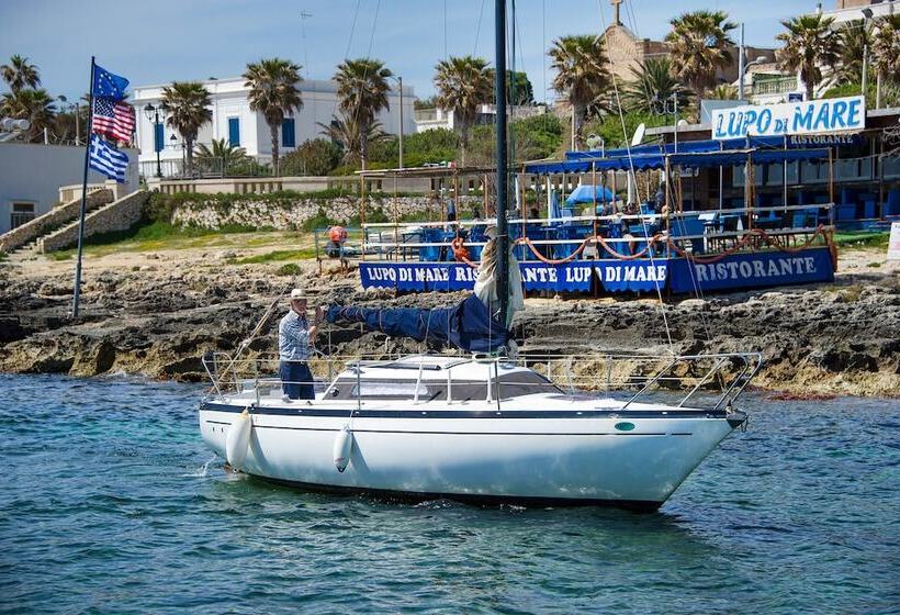 Terminal   Caroli Hotels