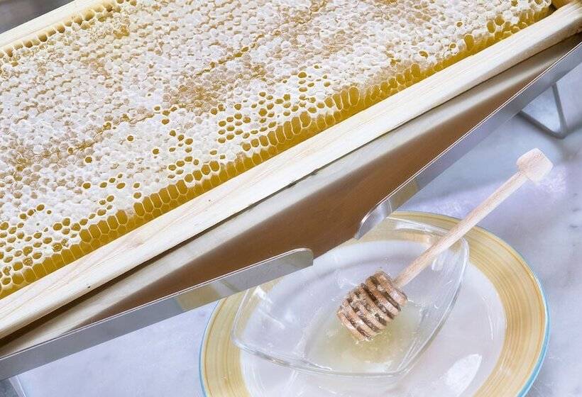 فندق Torino Wellness & Spa